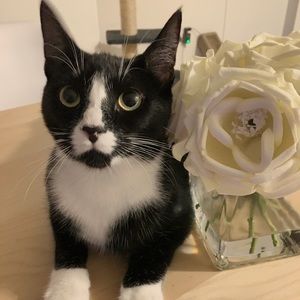 Meet your Posher, Patty